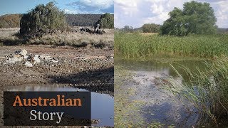 Natural sequence farming How Peter Andrews rejuvenates droughtstruck land  Australian Story [upl. by Seedman162]