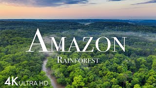 Amazon in 4K  The World’s Largest Tropical Rainforest  Aerial Drone  Scenic Relaxation Film [upl. by Trevlac]