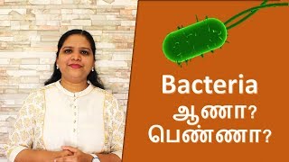 What is bacteria  Tamil [upl. by Fraser]