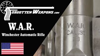 WAR  the Winchester Automatic Rifle [upl. by Ellenid433]