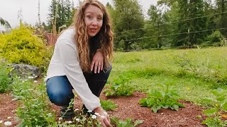 15 Medicinal Herbs and Their Uses for This Fall  Herb Garden Tour [upl. by Refynnej811]