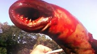 Giant Leech Monster Devours Everything now with more Evil Dead [upl. by Ahsian]