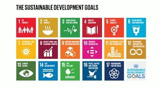 Do you know all 17 SDGs [upl. by Patterman]