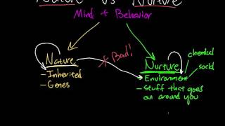 Nature vs Nurture  Part 1 [upl. by Roose]