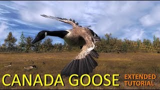 Canada Goose Extended Tutorial  theHunter Classic [upl. by Odirfliw967]