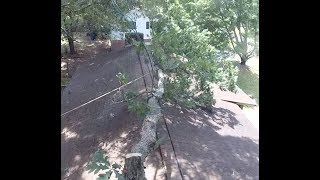 Remove a Tree Overhanging a House Without a Crane or Lift 2018  Part 1 [upl. by Carlynne944]