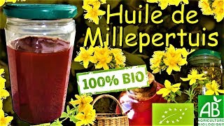 Comment faire son huile de MILLEPERTUIS [upl. by Hogue]