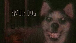 smiledog [upl. by Adaj]