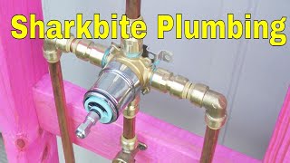 Plumbing With Sharkbite Fittings [upl. by Mandy]