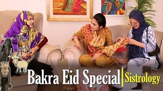 Bakra Eid Special  Sistrology  ftiqra kanwal  hira  fatima [upl. by Ahsenak]