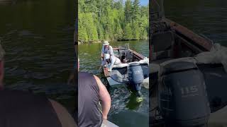 Get the net Brook trout Nipigon river [upl. by Aruon411]