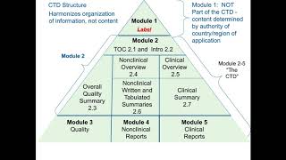 Understanding New Drug Applications NDAs [upl. by Fadden]