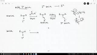 synthesis of tertiary amines [upl. by Marijn]