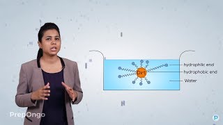 Carbon and its Compounds 16  Soaps and Detergents  CBSE Class 10 [upl. by Shurwood]