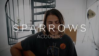 Sparrows Acoustic  Cory Asbury [upl. by Llamaj612]