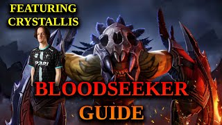 How To Play Bloodseeker  Basic Bloodseeker Guide [upl. by Hugues]