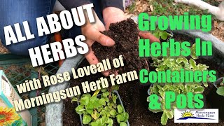 38 Growing Herbs in Containers amp Pots  Morningsun Herb Farms 8video series quotALL ABOUT HERBSquot [upl. by Yednil382]