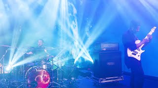 ANIMALS AS LEADERS  The Woven Web Live in Anaheim 2020 [upl. by Shaylynn]