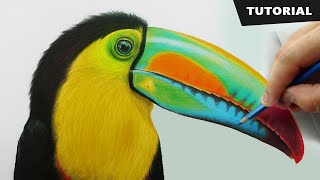 How to Draw Toucan Bird with pencil colors  Tutorial for BEGINNERS [upl. by Eivod]