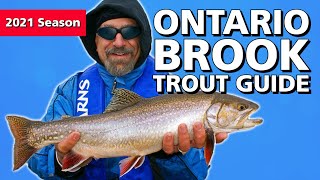 Ontario Brook Trout Guide  Fishn Canada [upl. by Furgeson322]