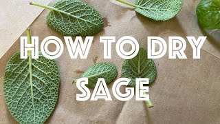 How to Dry Sage [upl. by Kerri]