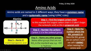 AQA 313 Amino Acids Proteins and DNA REVISION [upl. by Yvel]