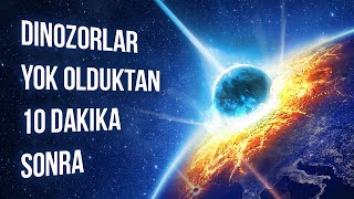 Dinozorların Nesli Tükendikten 10 Dakika Sonra Neler Olduğunu İzleyin [upl. by Gee]