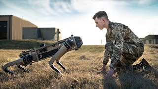 Meet the Futuristic Military Robot Dog [upl. by Bresee679]