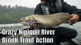 Crazy Brook Trout Action On The Nipigon River  Fishn Canada [upl. by Irol]