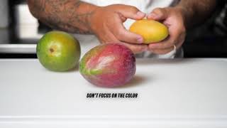 Choosing and Ripening Mangos [upl. by Aksel]