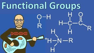 Functional Groups Explained so AP Bio Students can Understand [upl. by Atworth307]