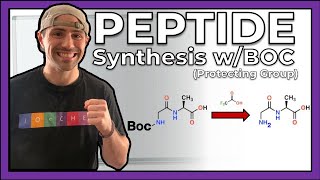 Peptide Synthesis with the Boc Protecting Group [upl. by Aicekan]