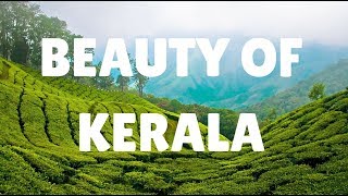 KERALA  The Beauty of Nature [upl. by Fiedler]