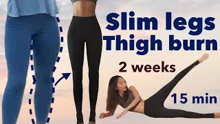 Slim legs amp thigh burn🔥secret easy workout  2 weeks beginner challenge 15minquietno equipment [upl. by Eedyak468]