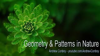 Patterns in Nature  Symmetry Fractals amp Geometry [upl. by Merfe]