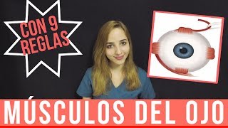 MÚSCULOS DEL OJO ANATOMÍA  MÚSCULOS EXTRAOCULARES  Mentes Médicas [upl. by Ailic844]