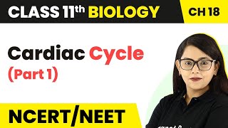 Circulatory System 04  Working of Heart  Class 11 NEET  PACE SERIES [upl. by Alik]