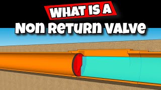 what is a non return valve [upl. by Agripina479]