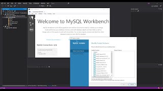 MySQL Database for Visual Studio  Getting Started [upl. by Christa]