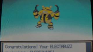 How to get Electivire  Pokemon Heart Gold and Soul Silver [upl. by Robet]