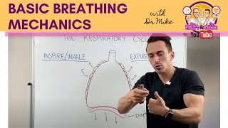 Basic Breathing Mechanics [upl. by Nigem596]