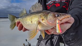 NonStop Daytime Walleyes  Howto Ice Fish Petenwell Lake in Wisconsin for Walleyes  S14 E9 [upl. by Dnalhsa]