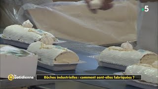 Bûches industrielles  comment sontelles fabriquées   La Quotidienne [upl. by Itsim]