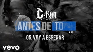 CKan  Voy a Esperar Audio [upl. by Enautna]