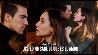 Asli amp Ferhat  Usted No Sabe Lo Que Es El Amor [upl. by Etterb964]