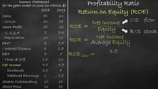 Profitability Ratio  Return on Equity [upl. by Esilahs]