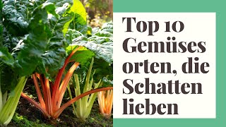 Top 10 Gemüsesorten die Schatten lieben [upl. by Uria]