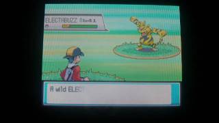 How to Catch Electabuzz  Pokemon Heart Gold and Soul Silver [upl. by Cy180]