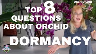 Specific Orchid Care During Dormancy How to Keep your Orchid Alive While In Dormancy [upl. by Kho]