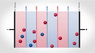 Electrodialysis Reversal for Selective Ion Extraction  Flex EDR Selective [upl. by Edvard113]